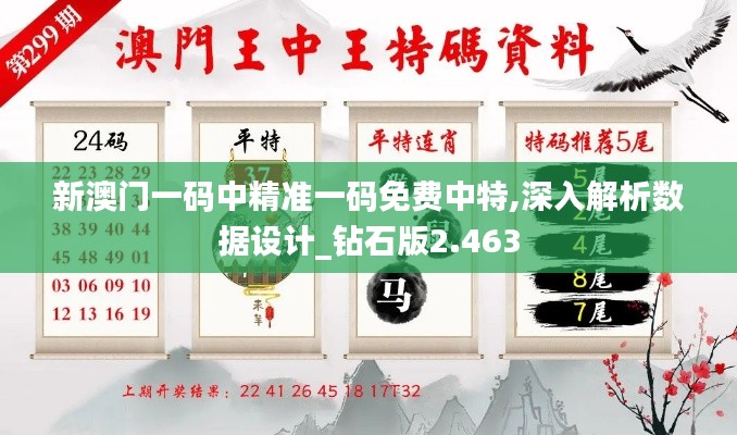 新澳门一码中精准一码免费中特,深入解析数据设计_钻石版2.463