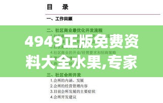 4949正版免费资料大全水果,专家意见解析_4K9.650