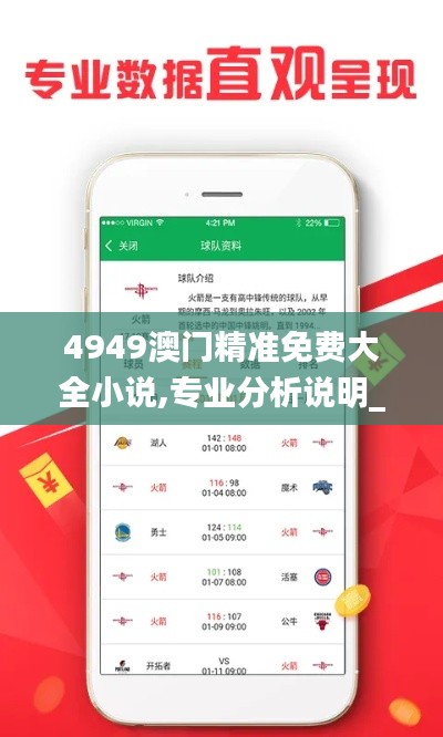 4949澳门精准免费大全小说,专业分析说明_iPad10.259
