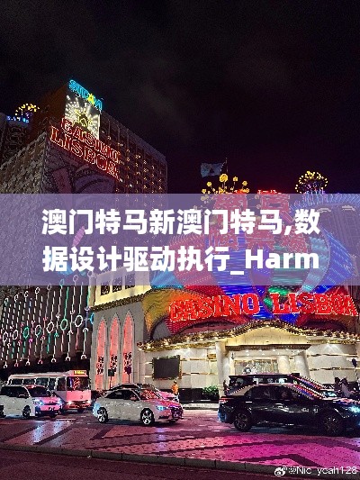 澳门特马新澳门特马,数据设计驱动执行_Harmony款3.671