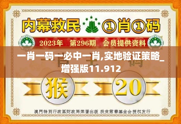 一肖一码一必中一肖,实地验证策略_增强版11.912