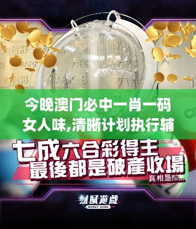今晚澳门必中一肖一码女人味,清晰计划执行辅导_精英款9.128