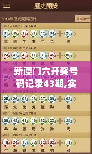 新澳门六开奖号码记录43期,实地验证分析_CT6.767