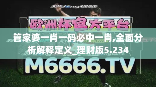 管家婆一肖一码必中一肖,全面分析解释定义_理财版5.234