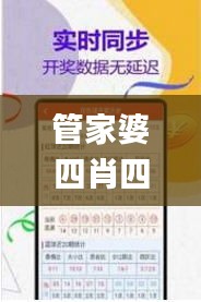 管家婆四肖四码精准,实地数据验证策略_尊贵版10.765