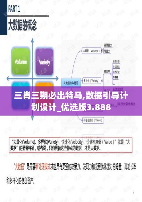 三肖三期必出特马,数据引导计划设计_优选版3.888