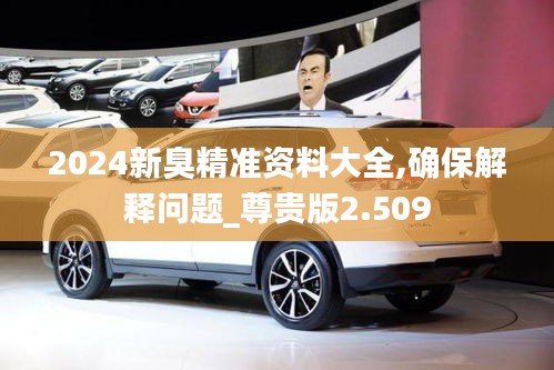 2024新臭精准资料大全,确保解释问题_尊贵版2.509