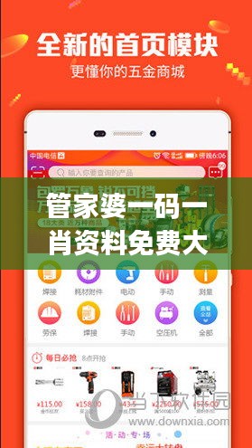管家婆一码一肖资料免费大全,数据资料解释定义_手游版7.705