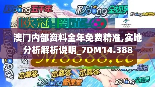 澳门内部资料全年免费精准,实地分析解析说明_7DM14.388