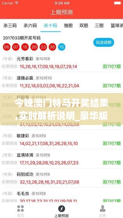 今晚澳门特马开奖结果,实时解析说明_豪华版5.207