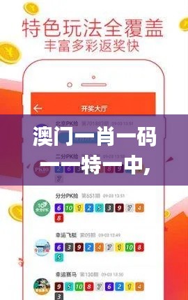 澳门一肖一码一一特一中,灵活性操作方案_UHD款6.955