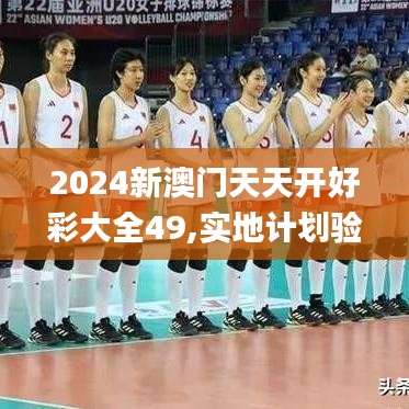 2024新澳门天天开好彩大全49,实地计划验证策略_AP1.742