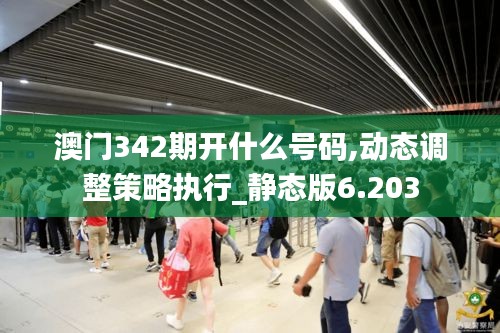 澳门342期开什么号码,动态调整策略执行_静态版6.203
