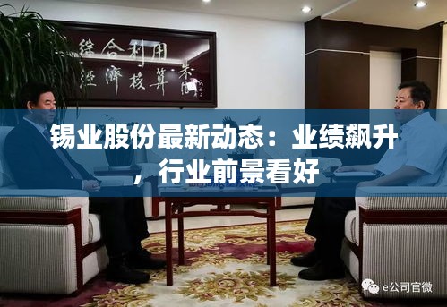 锡业股份最新动态：业绩飙升，行业前景看好