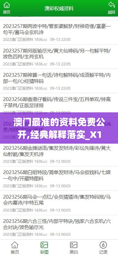 澳门最准的资料免费公开,经典解释落实_X1.283