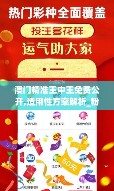 澳门精准王中王免费公开,适用性方案解析_粉丝版10.148