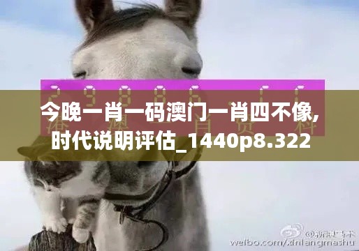 今晚一肖一码澳门一肖四不像,时代说明评估_1440p8.322