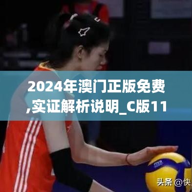 2024年澳门正版免费,实证解析说明_C版11.593