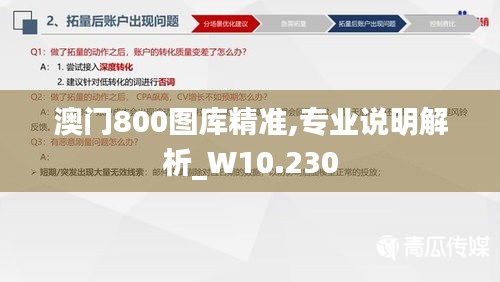 澳门800图库精准,专业说明解析_W10.230