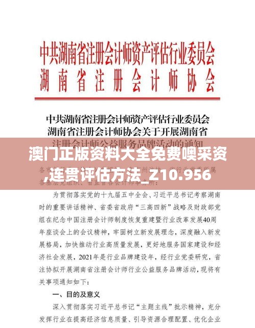 澳门正版资料大全免费噢采资,连贯评估方法_Z10.956