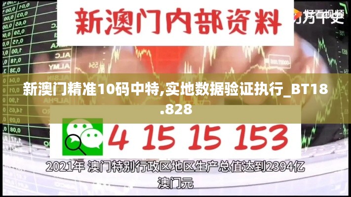 新澳门精准10码中特,实地数据验证执行_BT18.828