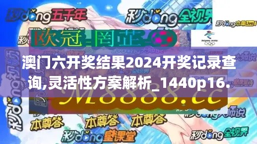 澳门六开奖结果2024开奖记录查询,灵活性方案解析_1440p16.671