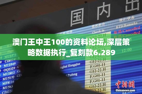 澳门王中王100的资料论坛,深层策略数据执行_复刻款6.289