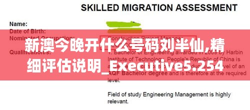新澳今晚开什么号码刘半仙,精细评估说明_Executive5.254