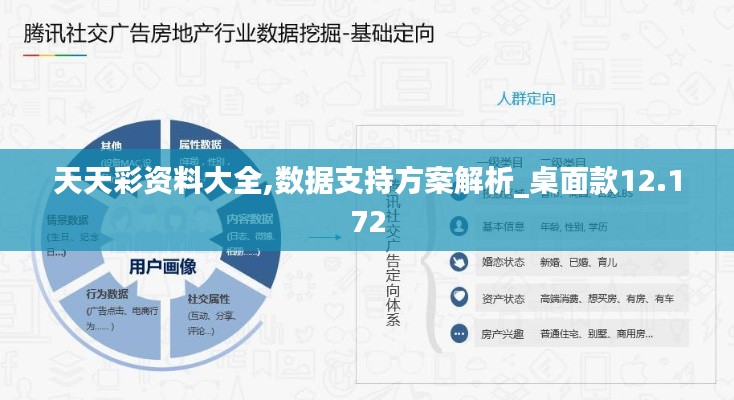天天彩资料大全,数据支持方案解析_桌面款12.172