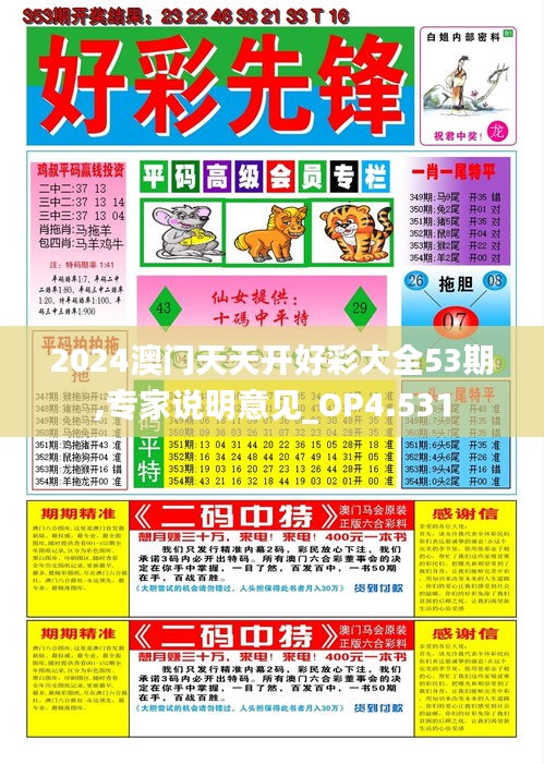2024澳门天天开好彩大全53期,专家说明意见_OP4.531
