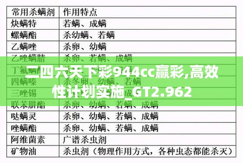 二四六天下彩944cc赢彩,高效性计划实施_GT2.962