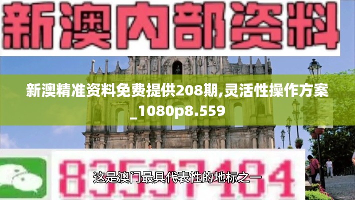 新澳精准资料免费提供208期,灵活性操作方案_1080p8.559