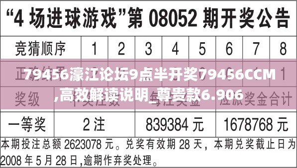 79456濠江论坛9点半开奖79456CCM,高效解读说明_尊贵款6.906