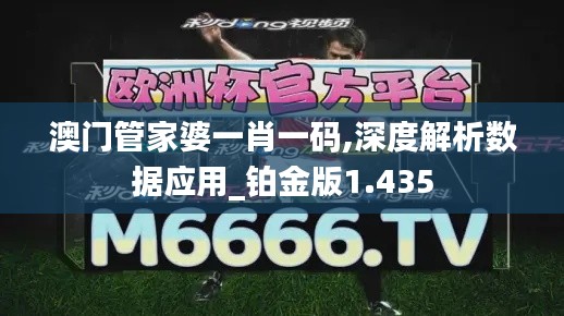 澳门管家婆一肖一码,深度解析数据应用_铂金版1.435