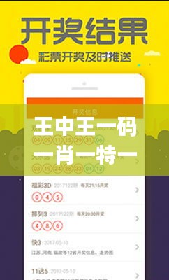 王中王一码一肖一特一中1,实地验证数据应用_轻量版2.688