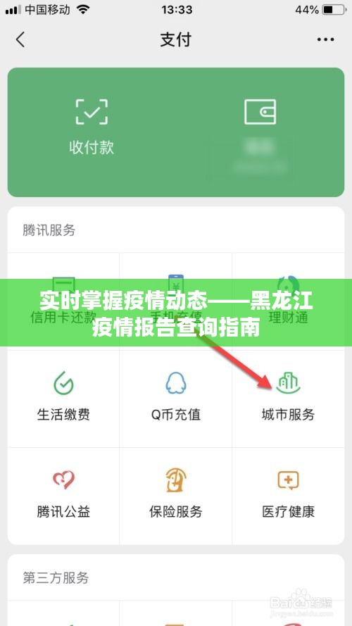 实时掌握疫情动态——黑龙江疫情报告查询指南