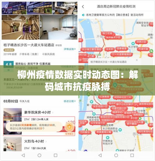 柳州疫情数据实时动态图：解码城市抗疫脉搏