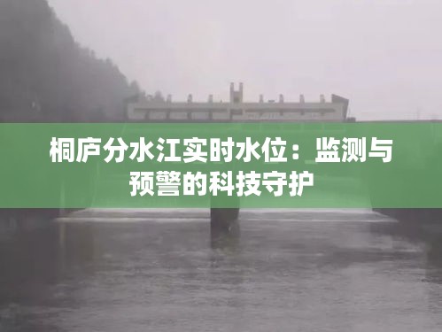 桐庐分水江实时水位：监测与预警的科技守护