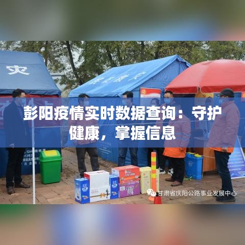 彭阳疫情实时数据查询：守护健康，掌握信息