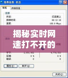 揭秘实时网速打不开的五大原因