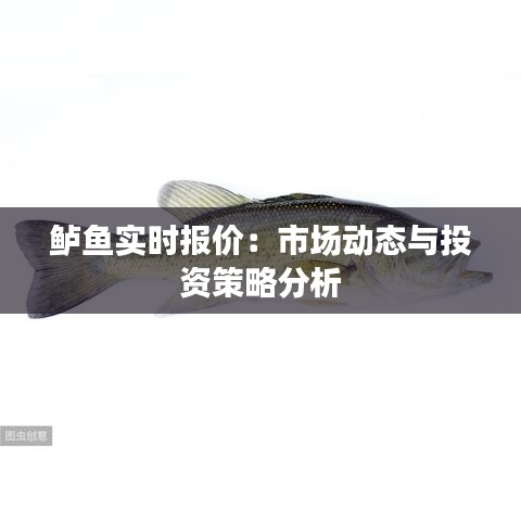 鲈鱼实时报价：市场动态与投资策略分析