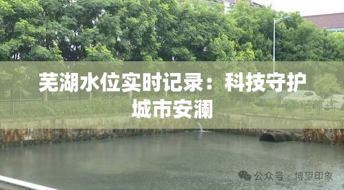 芜湖水位实时记录：科技守护城市安澜