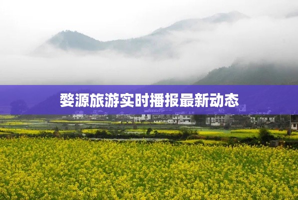 百不得一 第3页