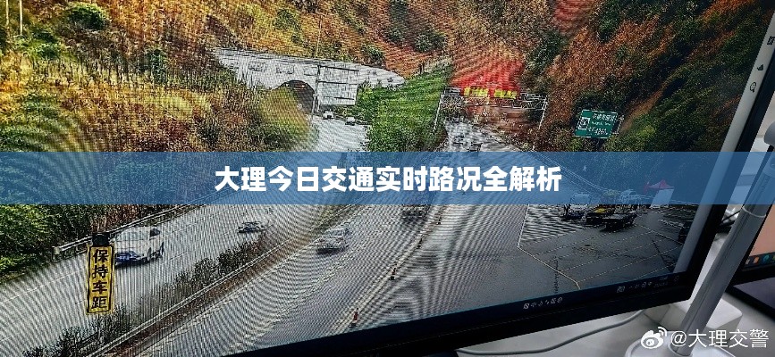 百鸟齐鸣 第2页