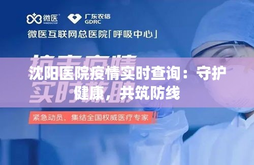 沈阳医院疫情实时查询：守护健康，共筑防线