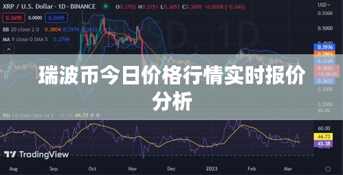 还淳反素 第3页
