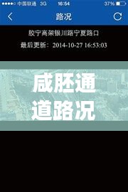 咸胚通道路况实时查询：智慧交通的未来趋势
