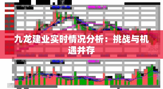 联系方式 第144页