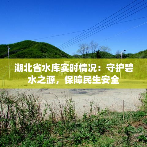 纲举目张 第2页