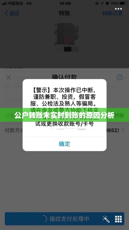 公户转账未实时到账的原因分析